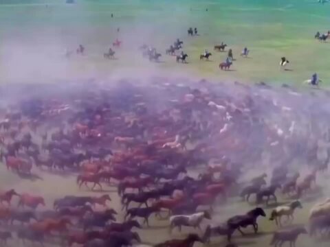 Wanma Galloping casts the “Vortex of Death”, what is going on?After reading it, I suddenly realized