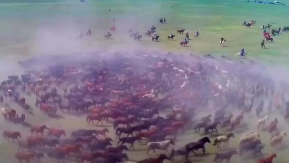 Wanma Galloping casts the “Vortex of Death”, what is going on?After reading it, I suddenly realized