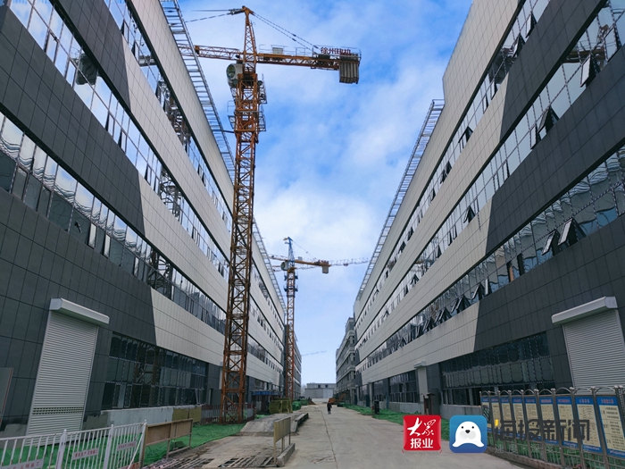Heze Economic Development Zone: Casting hard power for development with a soft business environment