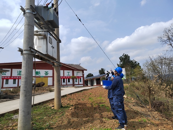 Sinan: High-quality electricity casts “golden buds” Sinan: High-quality electricity casts “golden buds”