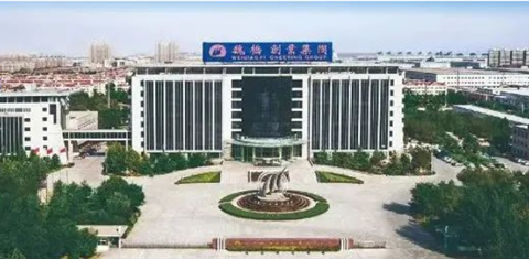 “Electric House” project settled in Binzhou: another application case of short-process production of new energy vehicle die-casting parts