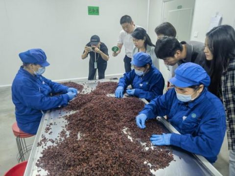 Inheriting the development foundation of traditional Chinese medicine and building a national treasure brand of traditional Chinese medicine