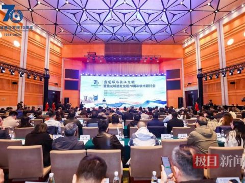 Archaeologist Xu Jie proposed that “the ultimate source of Sanxingdui's casting technology is the Central Plains, and the direct source may be Panlong City.”