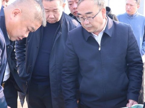 Yangxin News: Yang Bo investigates the construction of the Foundry Industrial Park in Huangqikou Town