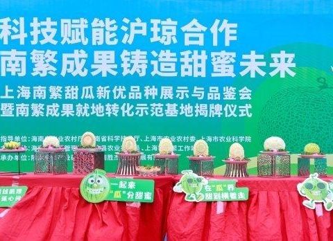 Technology empowers Shanghai-Qianjin cooperation and achievement of southern Chinese culture to create a sweet future