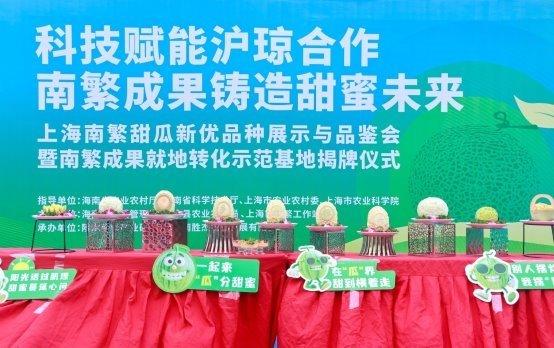 Technology empowers Shanghai-Qianjin cooperation and achievement of southern Chinese culture to create a sweet future
