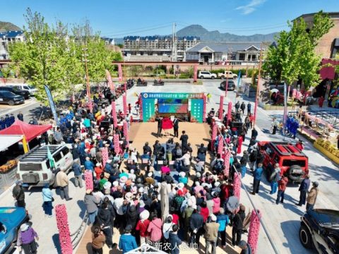 The launch ceremony of the Super Selected Off-Road Carnival and the “Casting a Summer” art exhibition officially kicked off The launch ceremony of the Super Selected Off-Road Carnival and the “Casting a Summer” art exhibition officially kicked off